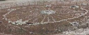 wheel of seasons